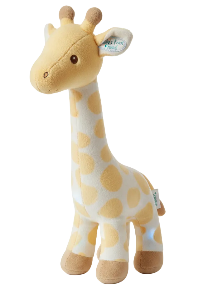 Baby Giraffe Toy